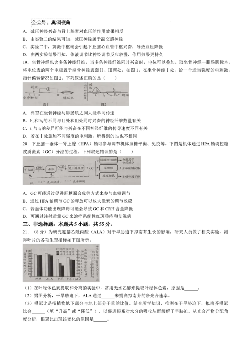 山东省日照市2025届高三上学期11月期中校际联合考试生物_2024-2025高三（6-6月题库）_2024年11月试卷_1126山东省日照市2025届高三上学期11月期中校际联合考试