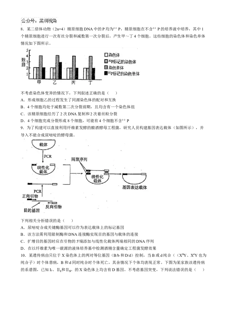 天津市南开中学2024-2025学年高三上学期10月月考生物学试题（含答案）_2024-2025高三（6-6月题库）_2024年10月试卷_1023天津市南开中学2024-2025学年高三上学期10月月考