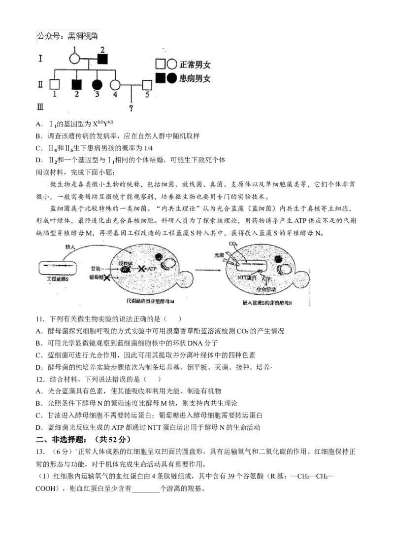 天津市南开中学2024-2025学年高三上学期10月月考生物学试题（含答案）_2024-2025高三（6-6月题库）_2024年10月试卷_1023天津市南开中学2024-2025学年高三上学期10月月考