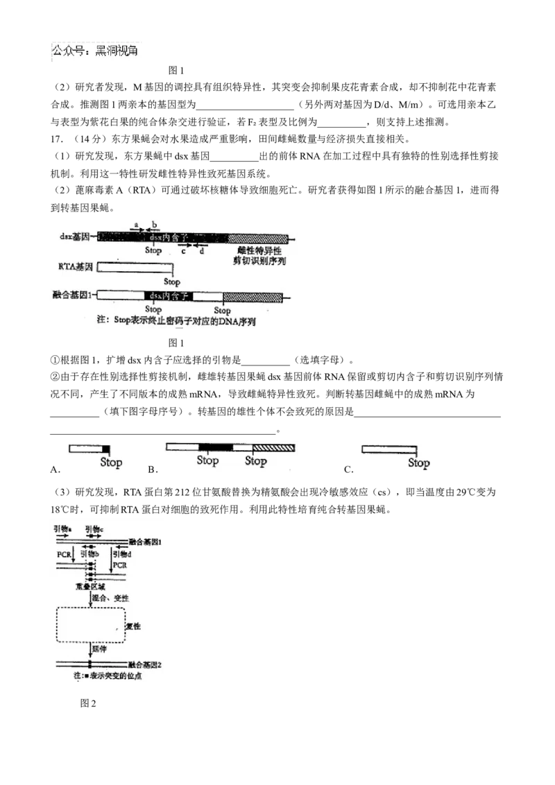 天津市南开中学2024-2025学年高三上学期10月月考生物学试题（含答案）_2024-2025高三（6-6月题库）_2024年10月试卷_1023天津市南开中学2024-2025学年高三上学期10月月考