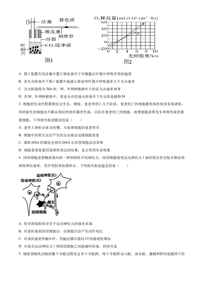 安徽省太和中学2024-2025学年高二下学期4月月考生物试题（有答案）_2024-2025高二（7-7月题库）_2025年04月试卷(1)_0423安徽省太和中学2024-2025学年高二下学期4月月考