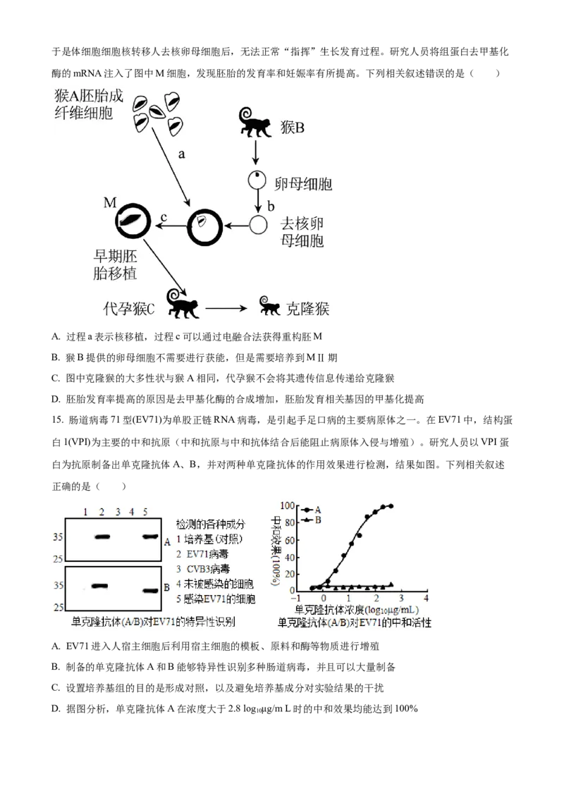 安徽省太和中学2024-2025学年高二下学期4月月考生物试题（有答案）_2024-2025高二（7-7月题库）_2025年04月试卷(1)_0423安徽省太和中学2024-2025学年高二下学期4月月考