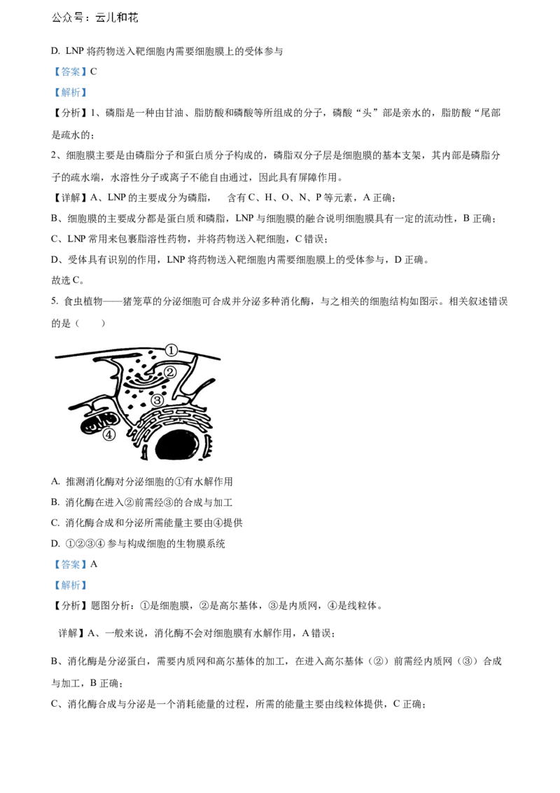 广东省东莞市2023-2024学年高二下学期7月期末考试生物Word版含解析_2024-2025高二（7-7月题库）_2024年07月试卷_0726广东省东莞市2023-2024学年高二下学期7月期末考试