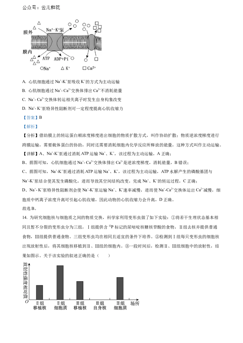 广东省东莞市2023-2024学年高二下学期7月期末考试生物Word版含解析_2024-2025高二（7-7月题库）_2024年07月试卷_0726广东省东莞市2023-2024学年高二下学期7月期末考试