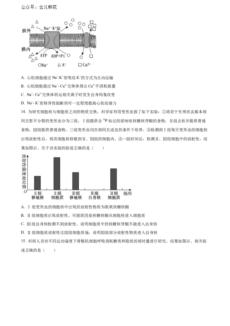 广东省东莞市2023-2024学年高二下学期7月期末考试生物Word版含解析_2024-2025高二（7-7月题库）_2024年07月试卷_0726广东省东莞市2023-2024学年高二下学期7月期末考试