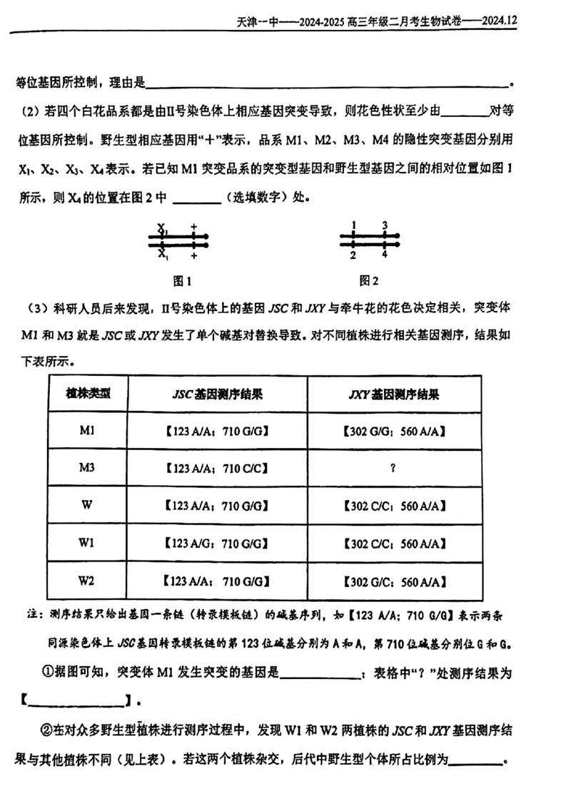 天津市第一中学2024-2025学年高三上学期第二次月考生物_2024-2025高三（6-6月题库）_2024年12月试卷_1208天津市第一中学2024-2025学年高三上学期第二次月考