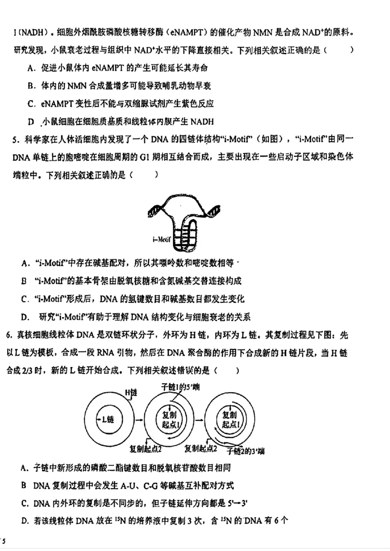 天津市第一中学2024-2025学年高三上学期第二次月考生物_2024-2025高三（6-6月题库）_2024年12月试卷_1208天津市第一中学2024-2025学年高三上学期第二次月考