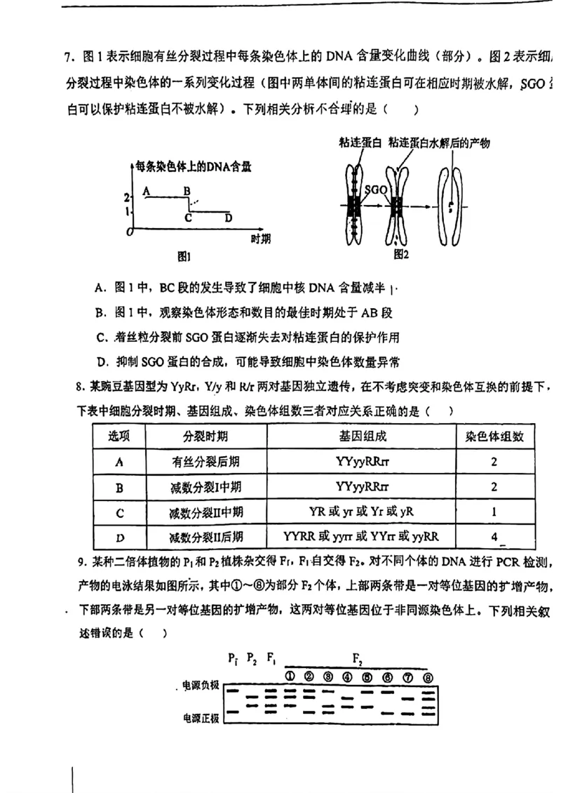 天津市第一中学2024-2025学年高三上学期第二次月考生物_2024-2025高三（6-6月题库）_2024年12月试卷_1208天津市第一中学2024-2025学年高三上学期第二次月考
