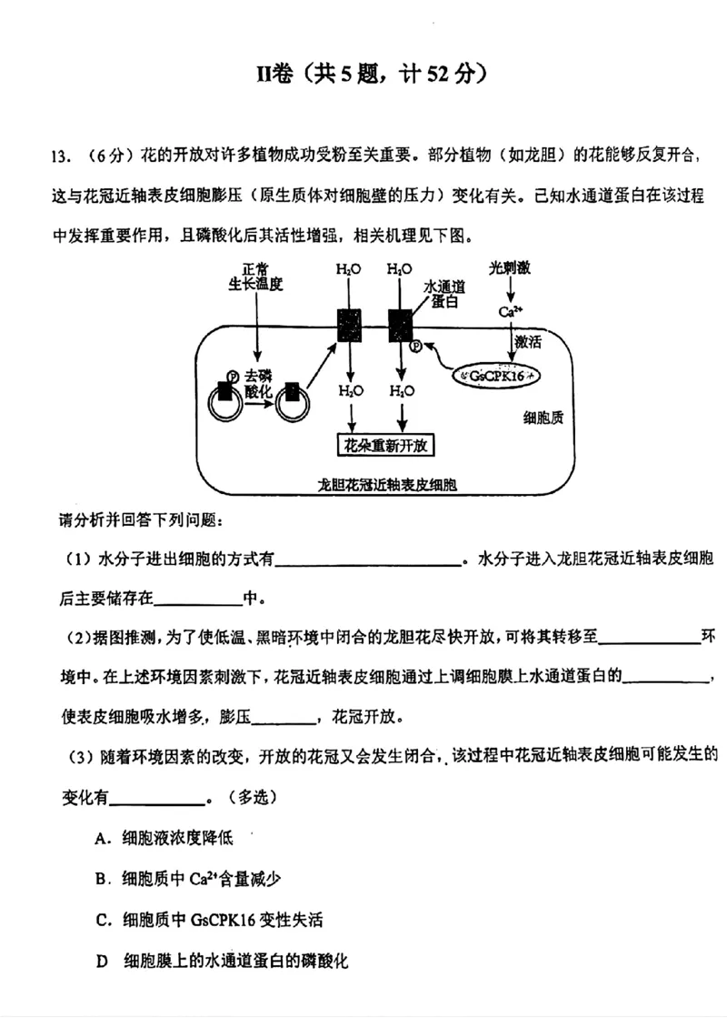 天津市第一中学2024-2025学年高三上学期第二次月考生物_2024-2025高三（6-6月题库）_2024年12月试卷_1208天津市第一中学2024-2025学年高三上学期第二次月考