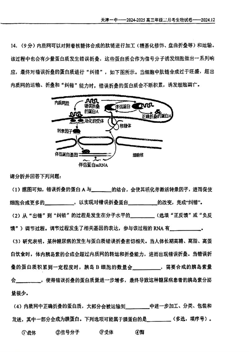 天津市第一中学2024-2025学年高三上学期第二次月考生物_2024-2025高三（6-6月题库）_2024年12月试卷_1208天津市第一中学2024-2025学年高三上学期第二次月考