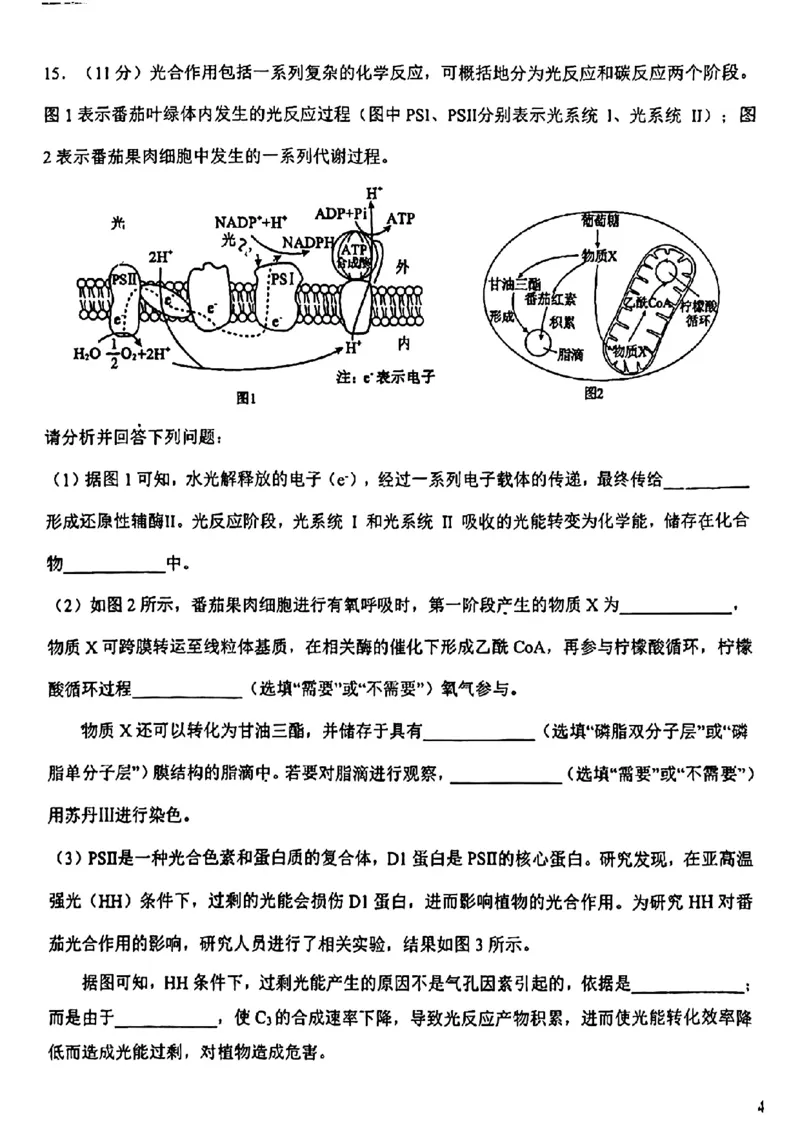 天津市第一中学2024-2025学年高三上学期第二次月考生物_2024-2025高三（6-6月题库）_2024年12月试卷_1208天津市第一中学2024-2025学年高三上学期第二次月考