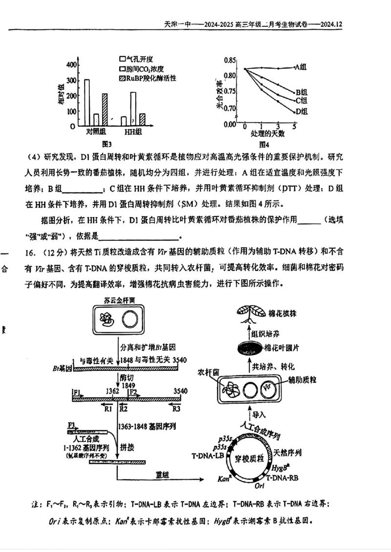 天津市第一中学2024-2025学年高三上学期第二次月考生物_2024-2025高三（6-6月题库）_2024年12月试卷_1208天津市第一中学2024-2025学年高三上学期第二次月考