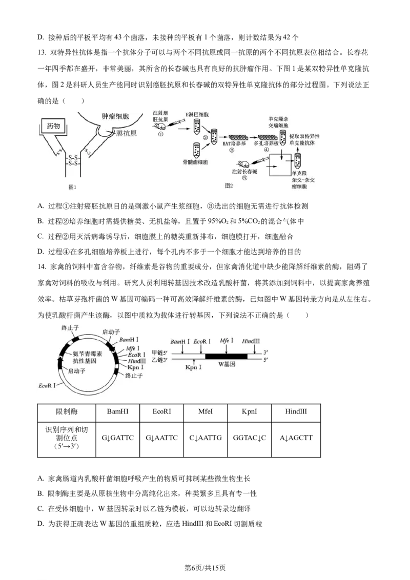 安徽省皖中名校联盟+2023&mdash;2024学年高二下学期期末考试生物试题_2024-2025高三（6-6月题库）_2024年07月试卷_240715安徽省智学大联考皖中联盟（合肥八中）2023-2024学年高二下学期期末考试