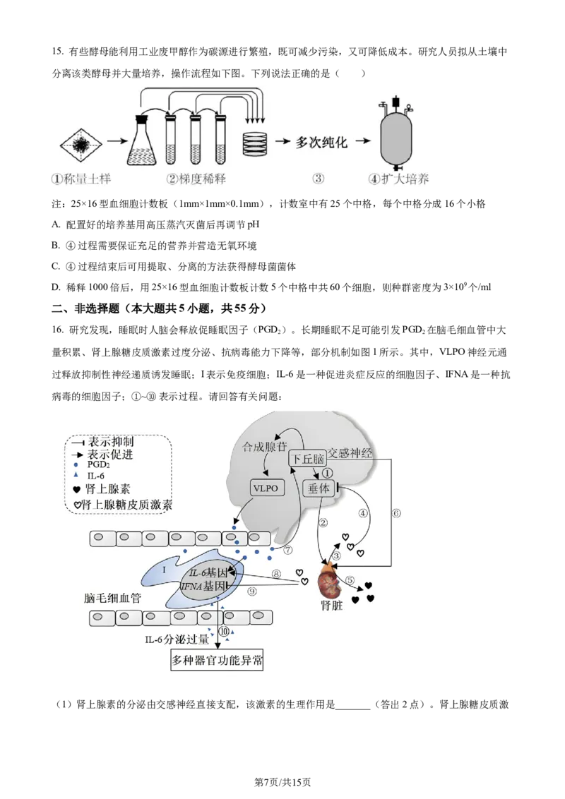 安徽省皖中名校联盟+2023&mdash;2024学年高二下学期期末考试生物试题_2024-2025高三（6-6月题库）_2024年07月试卷_240715安徽省智学大联考皖中联盟（合肥八中）2023-2024学年高二下学期期末考试