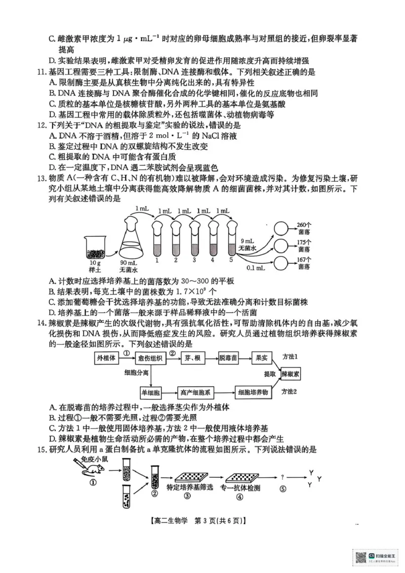 广西壮族自治区&ldquo;贵百河&rdquo;联考2024-2025学年高二下学期3月月考生物试题（PDF版，无答案）_2024-2025高二（7-7月题库）_2025年04月试卷(1)