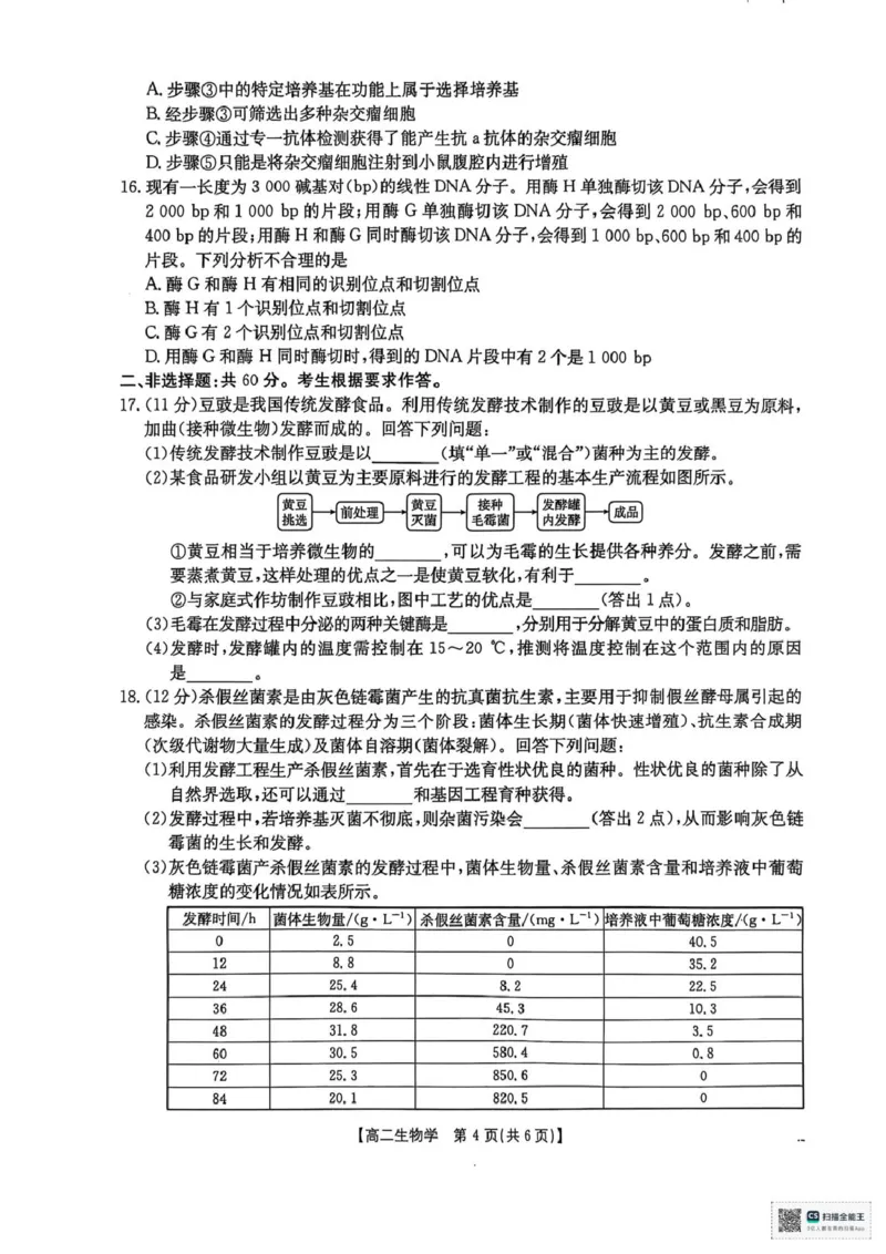 广西壮族自治区&ldquo;贵百河&rdquo;联考2024-2025学年高二下学期3月月考生物试题（PDF版，无答案）_2024-2025高二（7-7月题库）_2025年04月试卷(1)