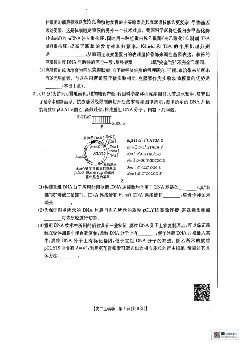 广西壮族自治区&ldquo;贵百河&rdquo;联考2024-2025学年高二下学期3月月考生物试题（PDF版，无答案）_2024-2025高二（7-7月题库）_2025年04月试卷(1)