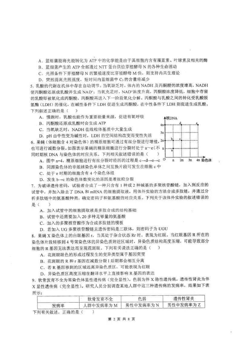四川省绵阳中学2024-2025学年高三上学期12月月考生物试题_2024-2025高三（6-6月题库）_2024年12月试卷_1216四川省绵阳中学2024-2025学年高三上学期12月月考