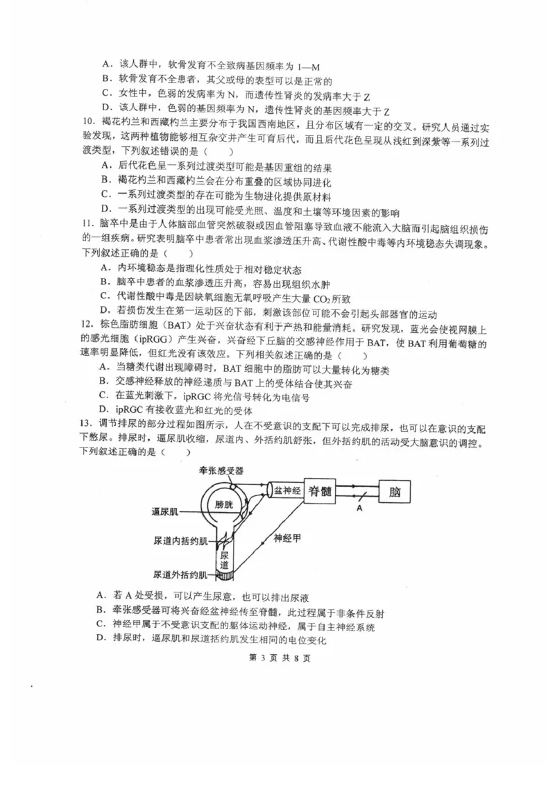 四川省绵阳中学2024-2025学年高三上学期12月月考生物试题_2024-2025高三（6-6月题库）_2024年12月试卷_1216四川省绵阳中学2024-2025学年高三上学期12月月考