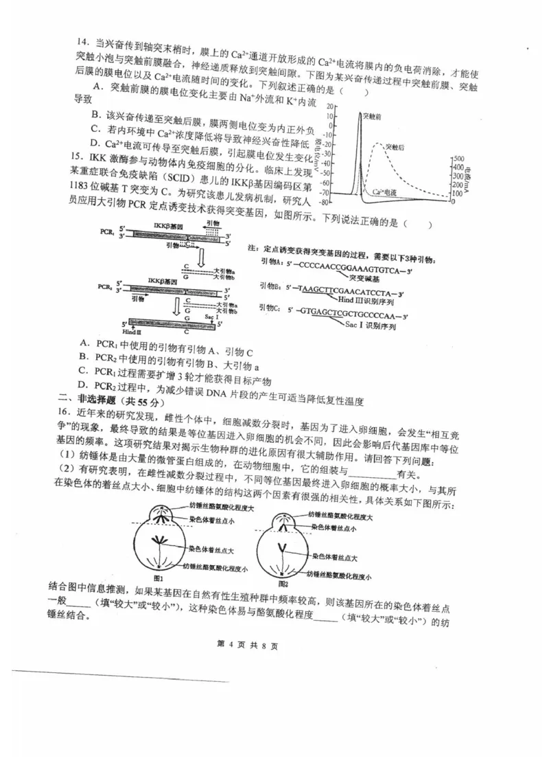 四川省绵阳中学2024-2025学年高三上学期12月月考生物试题_2024-2025高三（6-6月题库）_2024年12月试卷_1216四川省绵阳中学2024-2025学年高三上学期12月月考