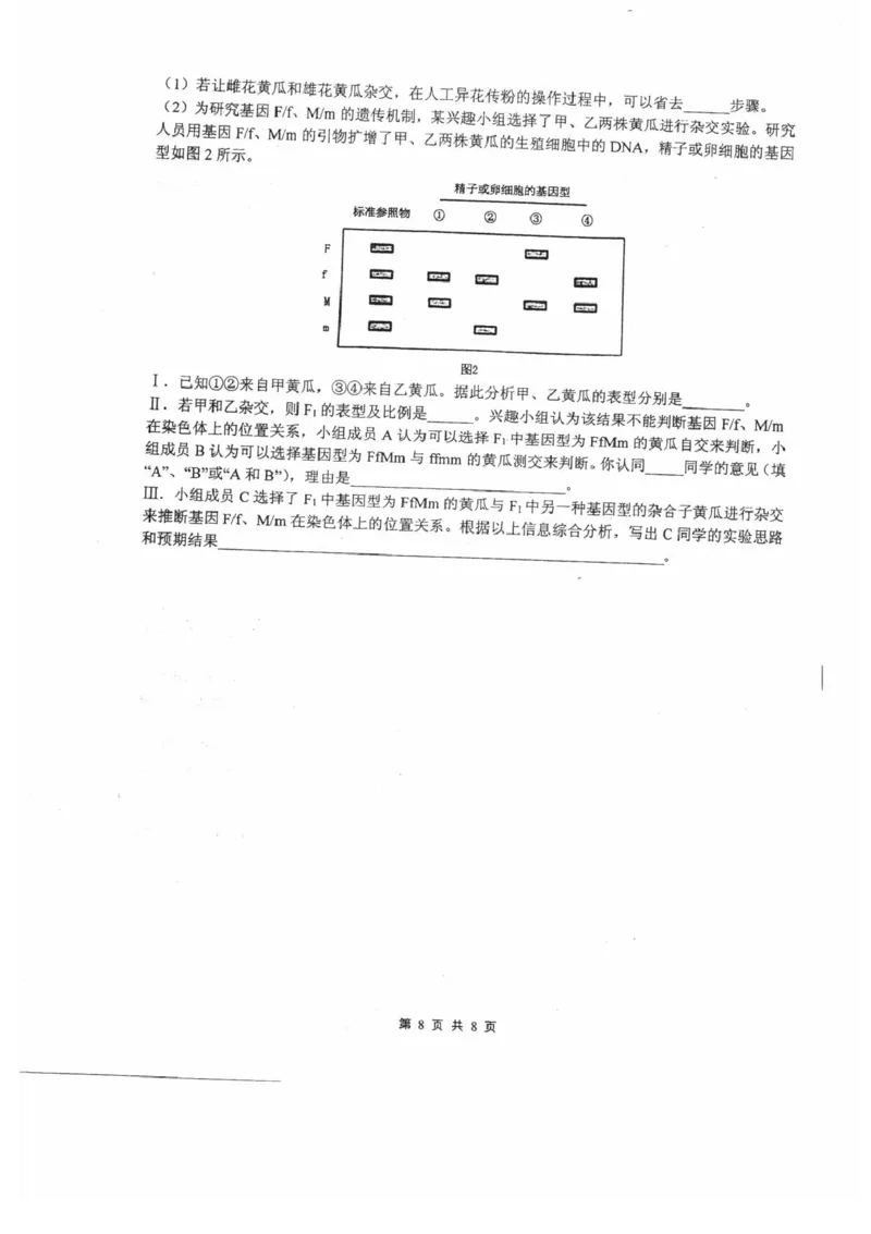 四川省绵阳中学2024-2025学年高三上学期12月月考生物试题_2024-2025高三（6-6月题库）_2024年12月试卷_1216四川省绵阳中学2024-2025学年高三上学期12月月考