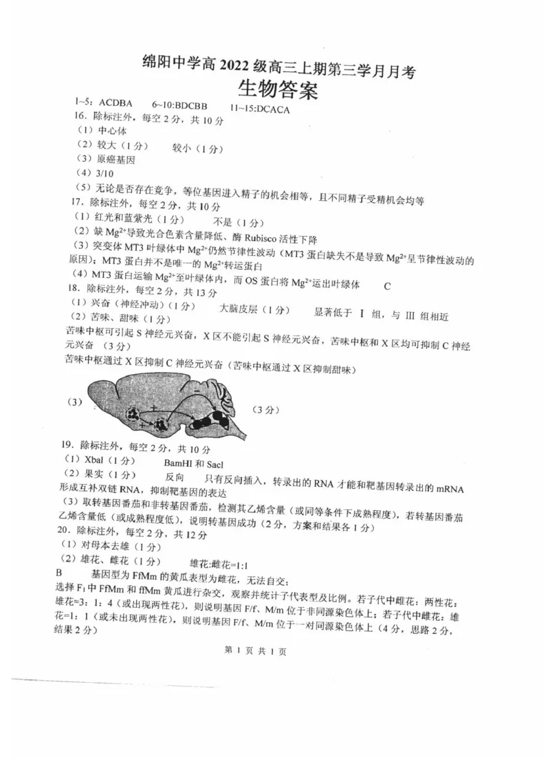 四川省绵阳中学2024-2025学年高三上学期12月月考生物试题_2024-2025高三（6-6月题库）_2024年12月试卷_1216四川省绵阳中学2024-2025学年高三上学期12月月考