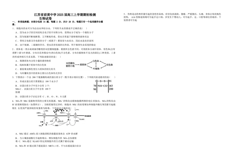 江苏省前黄高级中学2024-2025学年高三上学期期初检测试题生物Word版含答案_2024-2025高三（6-6月题库）_2024年09月试卷_0920江苏省前黄高级中学2024-2025学年高三上学期期初检测