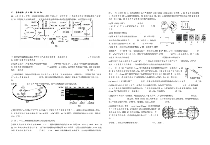江苏省前黄高级中学2024-2025学年高三上学期期初检测试题生物Word版含答案_2024-2025高三（6-6月题库）_2024年09月试卷_0920江苏省前黄高级中学2024-2025学年高三上学期期初检测