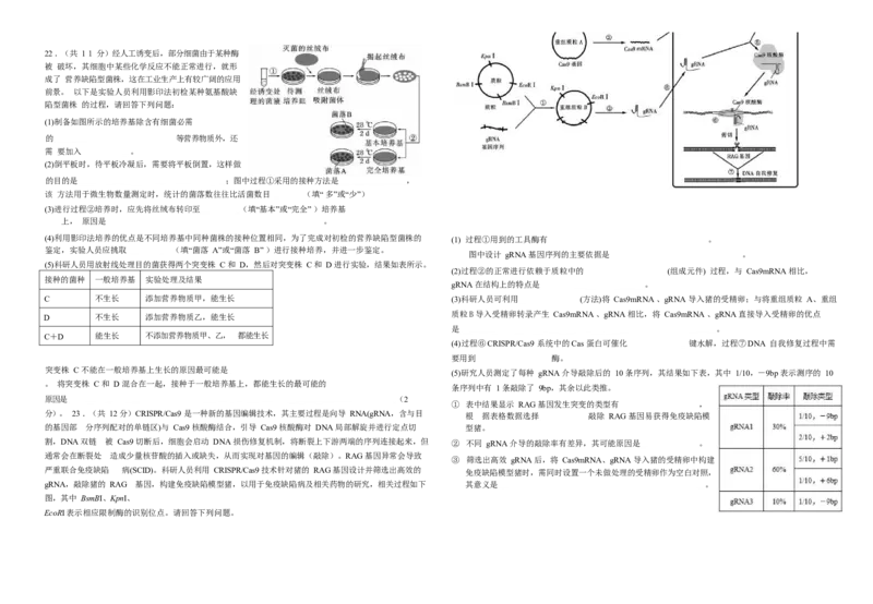 江苏省前黄高级中学2024-2025学年高三上学期期初检测试题生物Word版含答案_2024-2025高三（6-6月题库）_2024年09月试卷_0920江苏省前黄高级中学2024-2025学年高三上学期期初检测