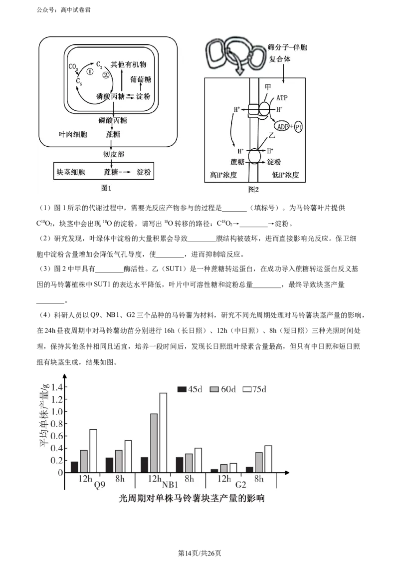 精品解析：山东省实验中学2024届高三下学期第一次模拟考试生物试题（解析版）_2024年4月_01按日期_13号_2024届山东省实验中学高三下学期一模考试