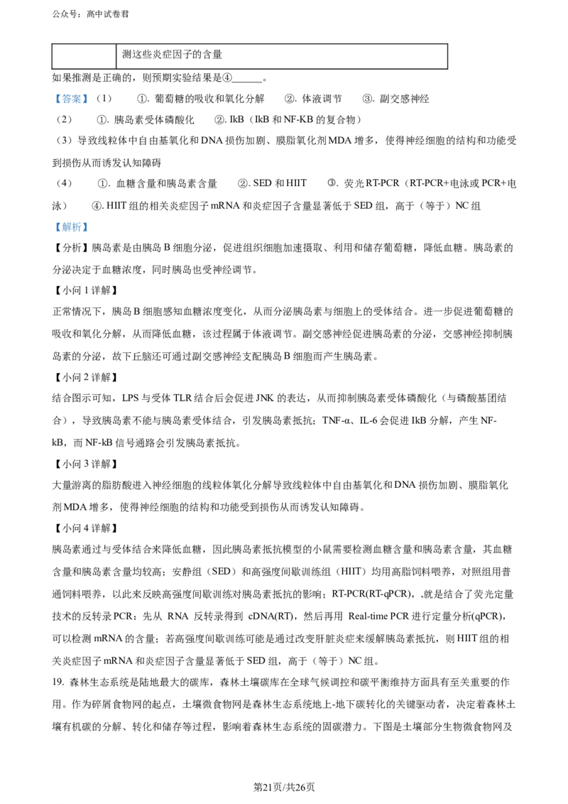 精品解析：山东省实验中学2024届高三下学期第一次模拟考试生物试题（解析版）_2024年4月_01按日期_13号_2024届山东省实验中学高三下学期一模考试
