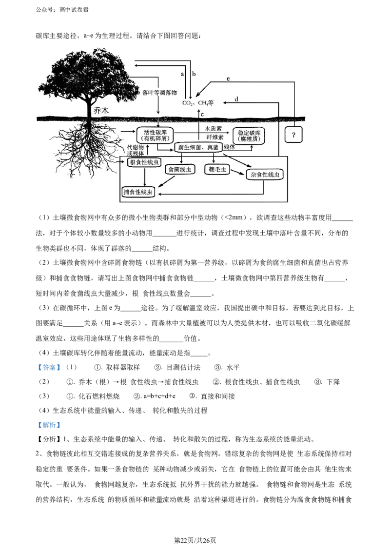 精品解析：山东省实验中学2024届高三下学期第一次模拟考试生物试题（解析版）_2024年4月_01按日期_13号_2024届山东省实验中学高三下学期一模考试