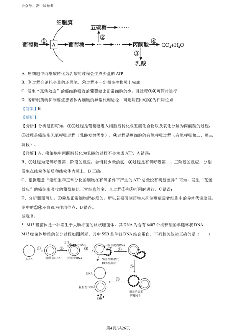 精品解析：山东省实验中学2024届高三下学期第一次模拟考试生物试题（解析版）_2024年4月_01按日期_13号_2024届山东省实验中学高三下学期一模考试