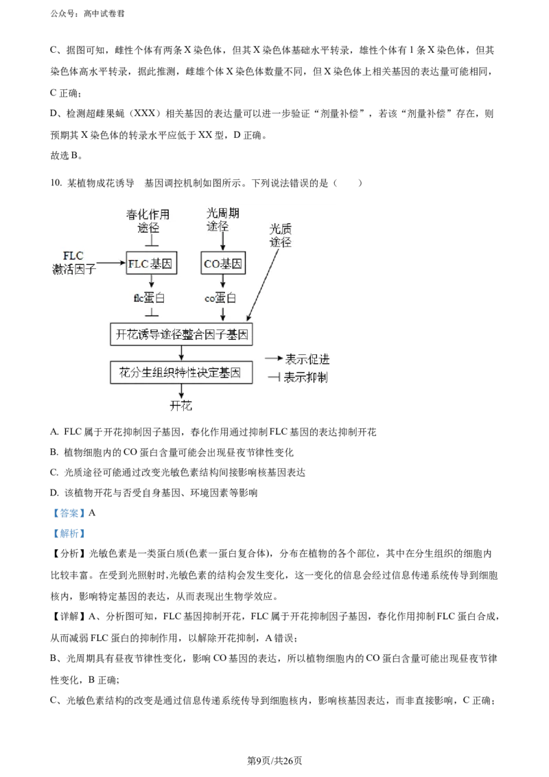 精品解析：山东省实验中学2024届高三下学期第一次模拟考试生物试题（解析版）_2024年4月_01按日期_13号_2024届山东省实验中学高三下学期一模考试
