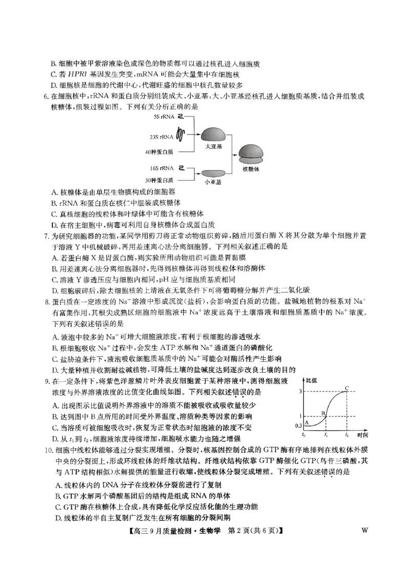 九师联盟2025届高三9月质量检测生物试卷_2024-2025高三（6-6月题库）_2024年09月试卷_0930九师联盟2025届高三9月质量检测