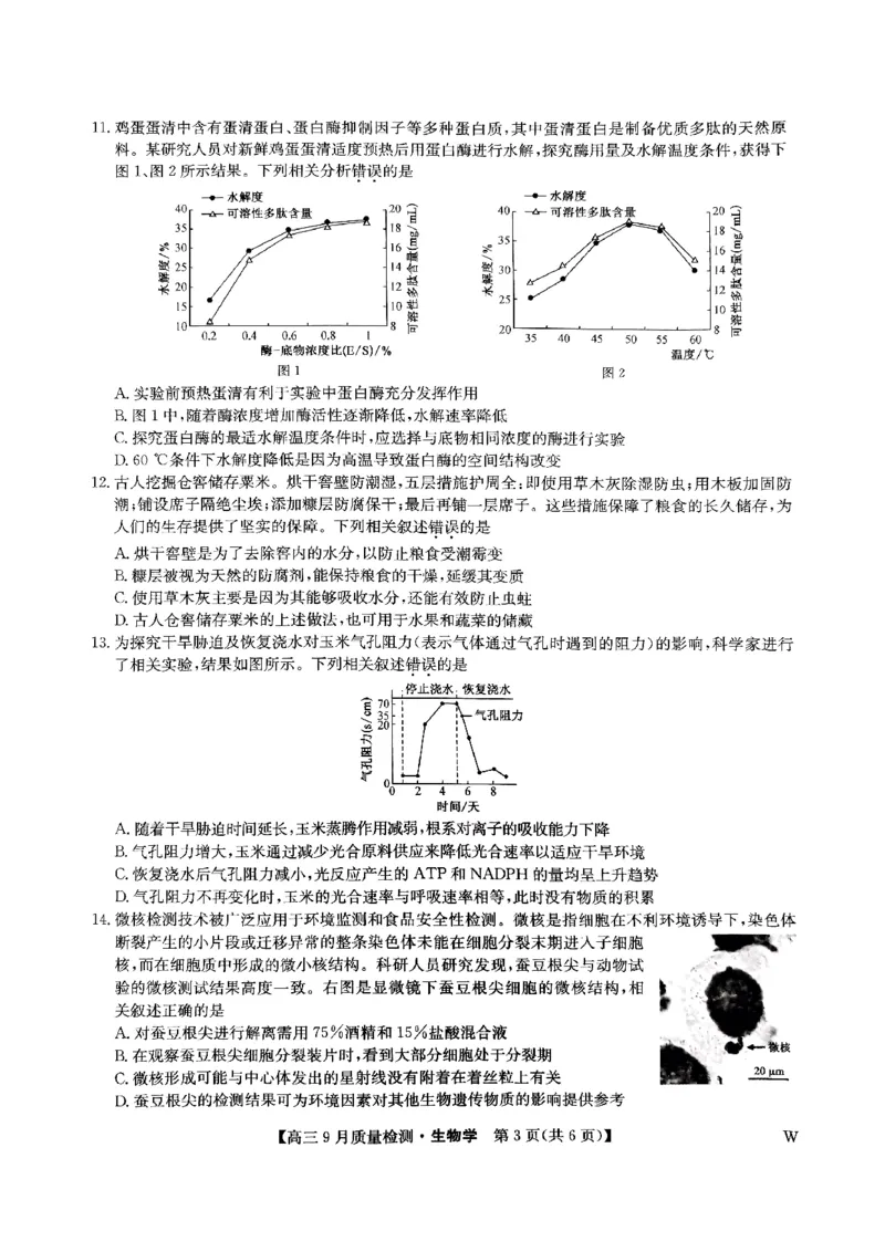九师联盟2025届高三9月质量检测生物试卷_2024-2025高三（6-6月题库）_2024年09月试卷_0930九师联盟2025届高三9月质量检测