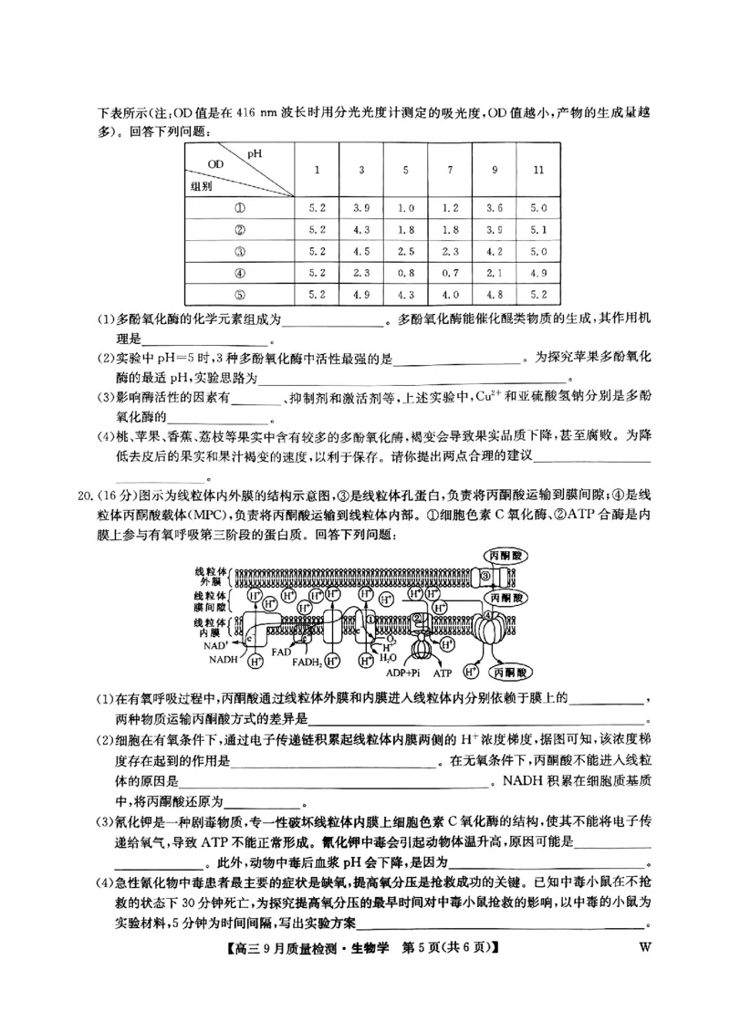 九师联盟2025届高三9月质量检测生物试卷_2024-2025高三（6-6月题库）_2024年09月试卷_0930九师联盟2025届高三9月质量检测