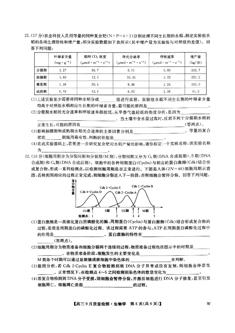 九师联盟2025届高三9月质量检测生物试卷_2024-2025高三（6-6月题库）_2024年09月试卷_0930九师联盟2025届高三9月质量检测