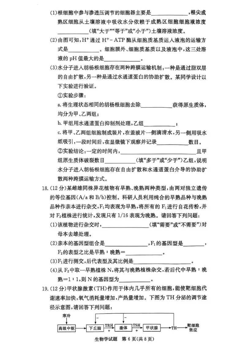 名校联考联合体2025年秋季高二第二次联考生物_2025年10月高二试卷_251021湖南省炎德英才名校联考联合体2025年秋季高二第二次联考（全）