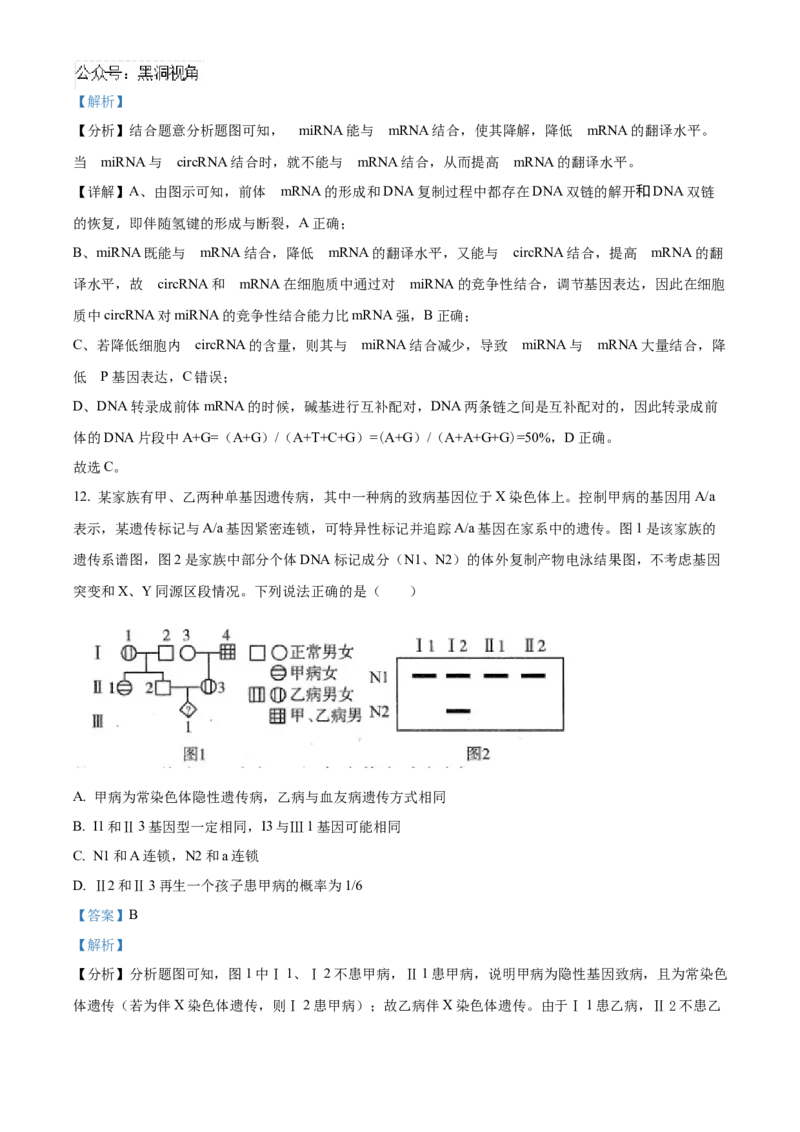 山东省泰安第一中学2025届高三上学期11月月考生物试题word版含解析_2024-2025高三（6-6月题库）_2024年12月试卷_1202山东省泰安第一中学2025届高三上学期11月月考
