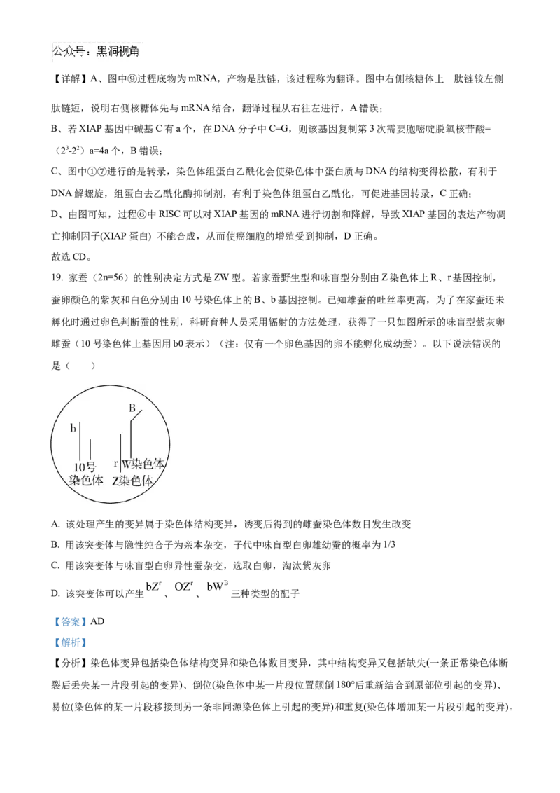 山东省泰安第一中学2025届高三上学期11月月考生物试题word版含解析_2024-2025高三（6-6月题库）_2024年12月试卷_1202山东省泰安第一中学2025届高三上学期11月月考