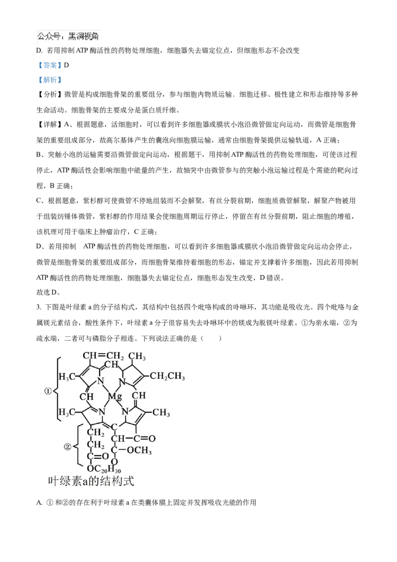 山东省泰安第一中学2025届高三上学期11月月考生物试题word版含解析_2024-2025高三（6-6月题库）_2024年12月试卷_1202山东省泰安第一中学2025届高三上学期11月月考