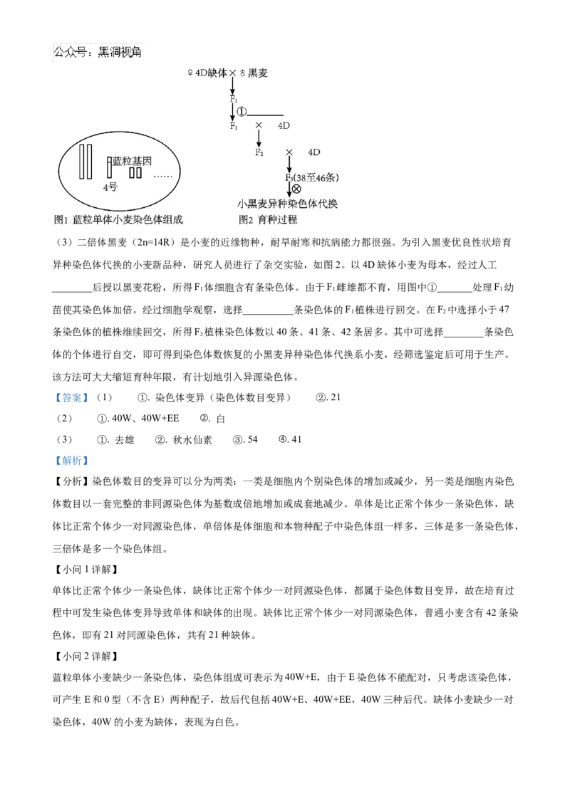 山东省泰安第一中学2025届高三上学期11月月考生物试题word版含解析_2024-2025高三（6-6月题库）_2024年12月试卷_1202山东省泰安第一中学2025届高三上学期11月月考