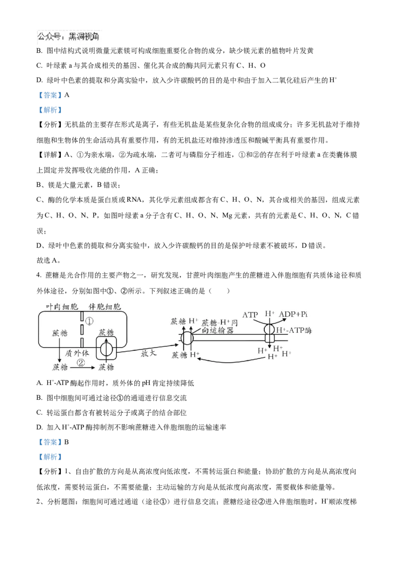山东省泰安第一中学2025届高三上学期11月月考生物试题word版含解析_2024-2025高三（6-6月题库）_2024年12月试卷_1202山东省泰安第一中学2025届高三上学期11月月考