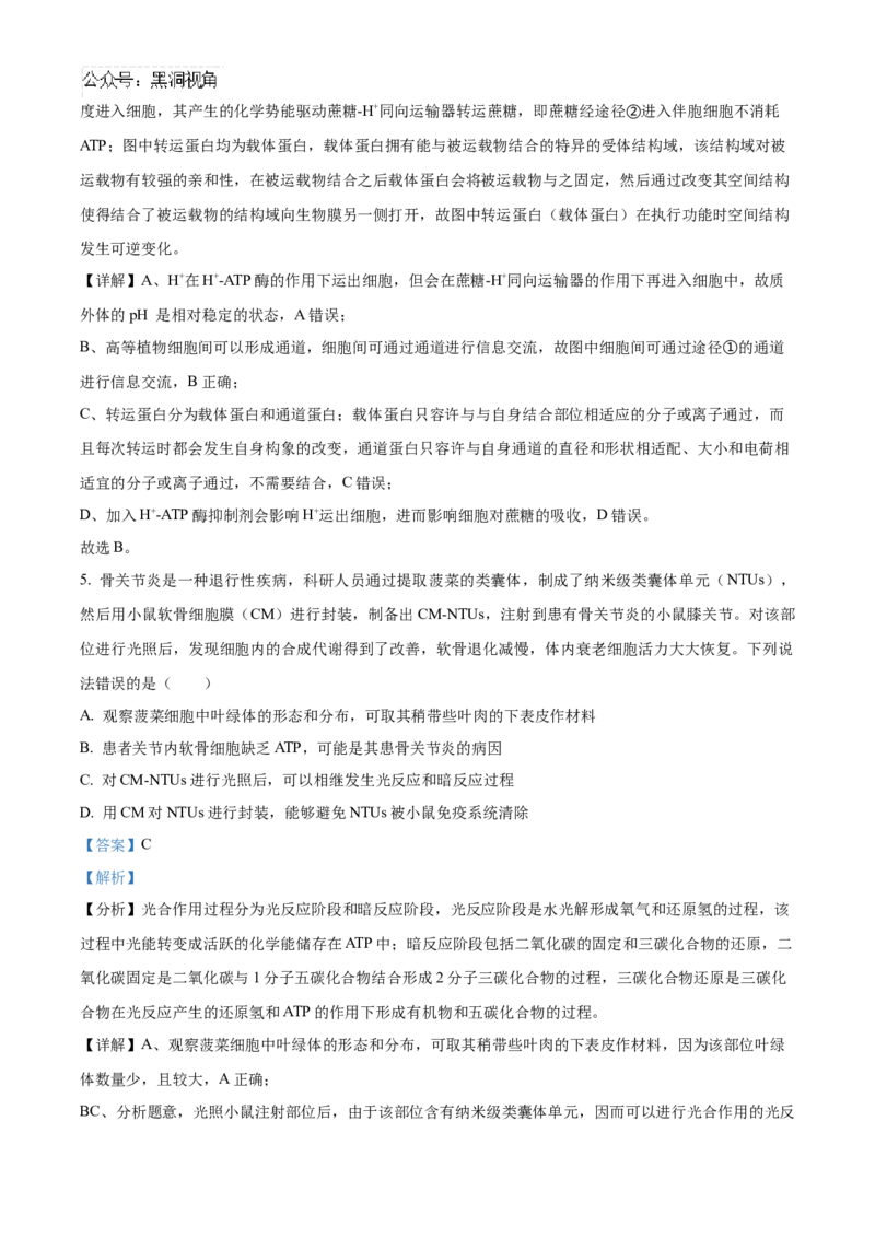 山东省泰安第一中学2025届高三上学期11月月考生物试题word版含解析_2024-2025高三（6-6月题库）_2024年12月试卷_1202山东省泰安第一中学2025届高三上学期11月月考