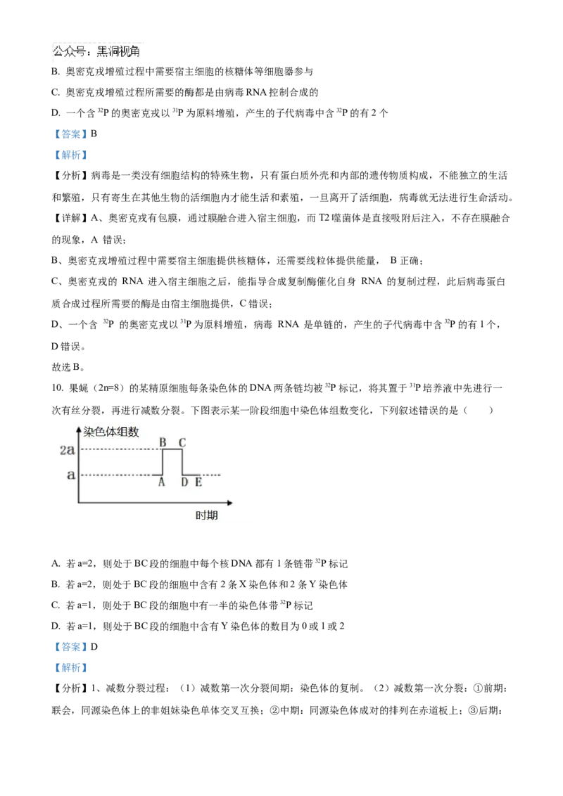 山东省泰安第一中学2025届高三上学期11月月考生物试题word版含解析_2024-2025高三（6-6月题库）_2024年12月试卷_1202山东省泰安第一中学2025届高三上学期11月月考