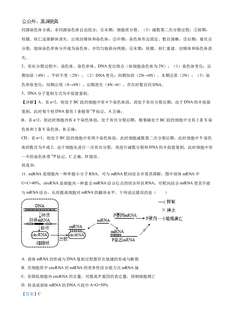 山东省泰安第一中学2025届高三上学期11月月考生物试题word版含解析_2024-2025高三（6-6月题库）_2024年12月试卷_1202山东省泰安第一中学2025届高三上学期11月月考