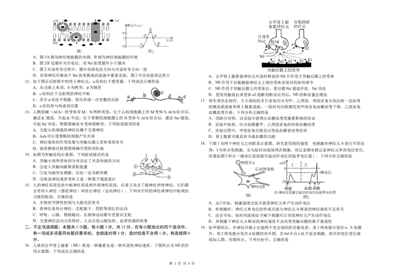 吉林省长春外国语学校2025-2026学年高二上学期第一次月考试题生物Word版含答案_2025年10月高二试卷_251027吉林省长春外国语学校2025-2026学年高二上学期10月月考（全)