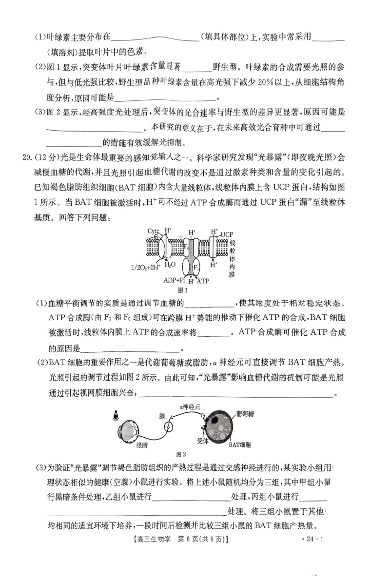 生物_2024年2月_01每日更新_06号_2024届河北省部分重点高中高三上学期期末金太阳考试（24-327C）_河北省部分重点高中2024届高三上学期期末金太阳考试（24-327C）生物