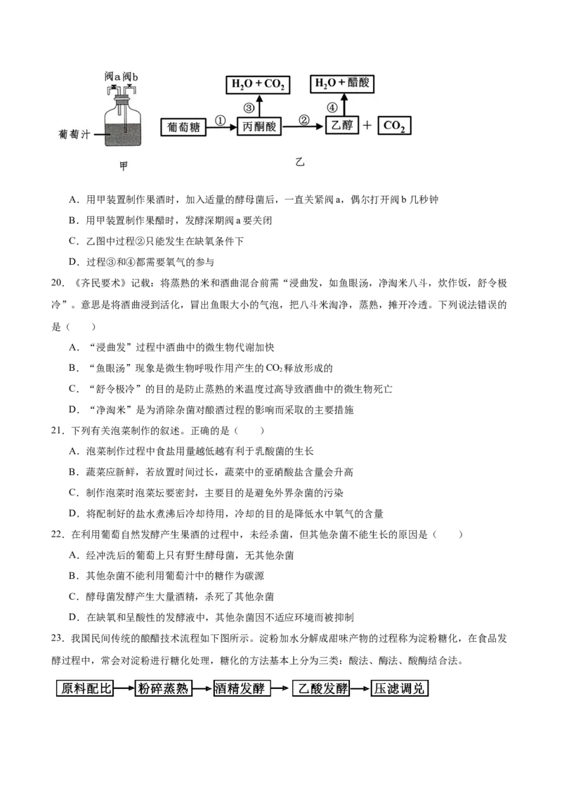 山东省莱州市第一中学2024-2025学年高二下学期开学考试生物Word版含答案_2024-2025高二（7-7月题库）_2025年03月试卷_0316山东省莱州市第一中学2024-2025学年高二下学期开学考试